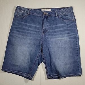 Womens Cato Denim Shorts Size 12